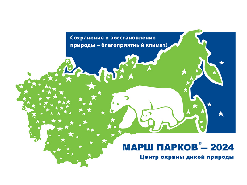 Международная природоохранная акция «Марш парков – 2024» в Советском районе и г. Югорске (районный этап).